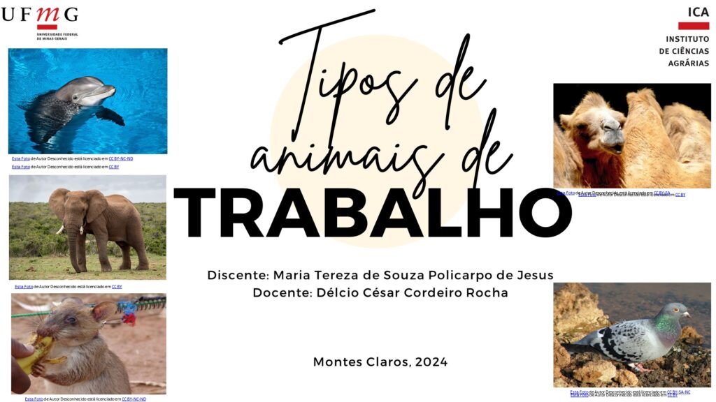 Ambiente em foco Tipos de animais de trabalho 4