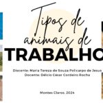 Ambiente em foco Tipos de animais de trabalho 4
