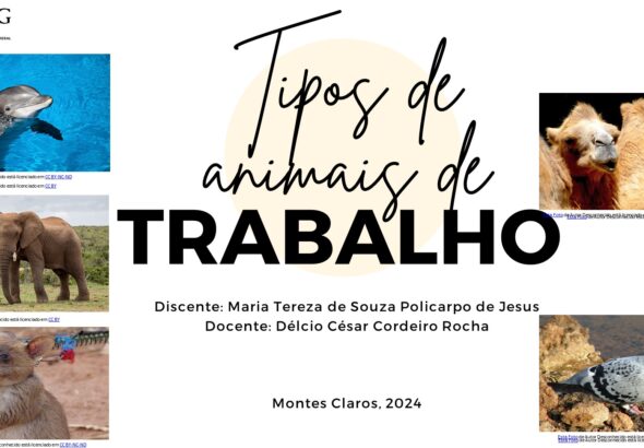 Ambiente em foco Tipos de animais de trabalho 4