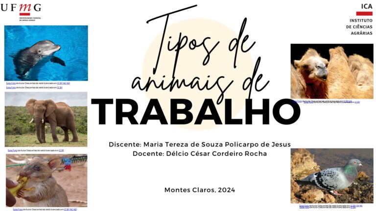 Ambiente em foco Tipos de animais de trabalho 4