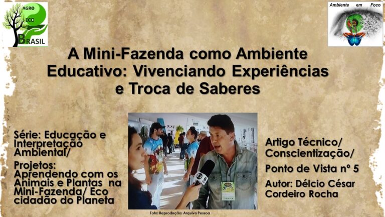 Mini Fazenda 5