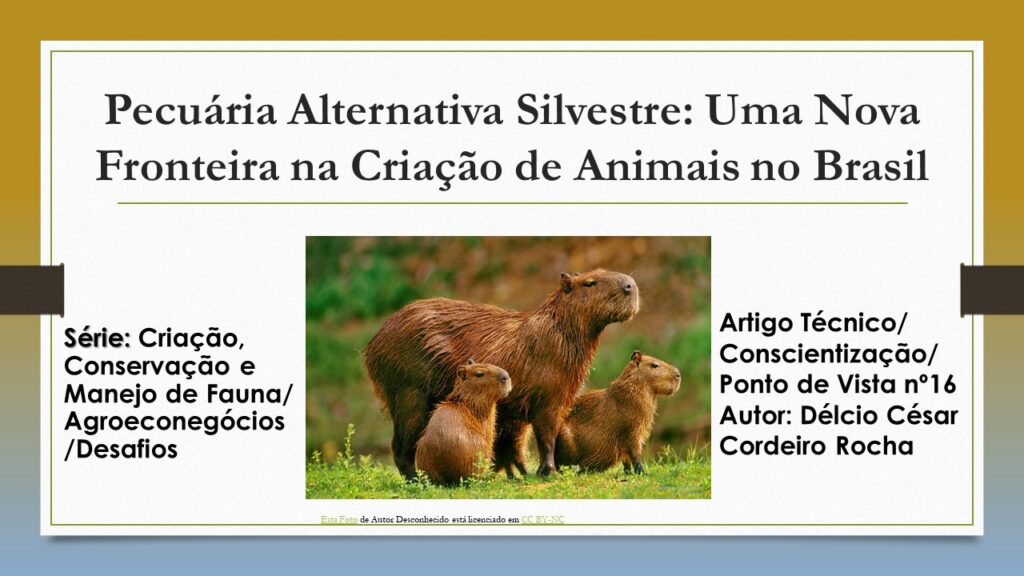 animais silvestres 15