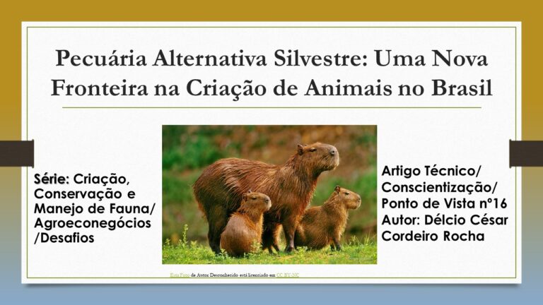 animais silvestres 15