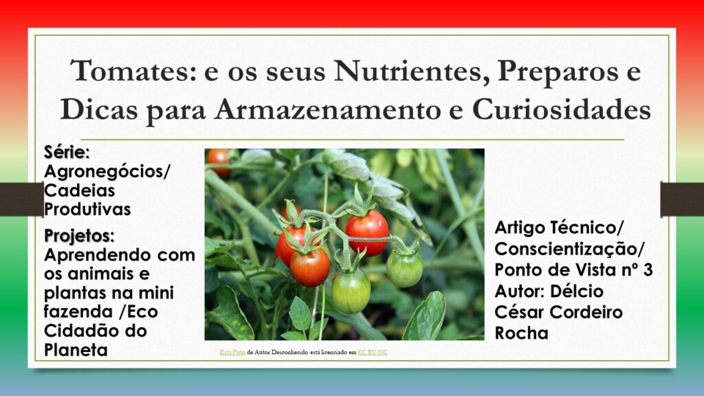 Agronegocios e as suas cadeias produtivas - tomate